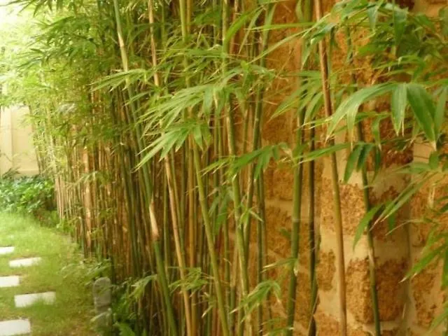 Hoi An Greenlife Villa